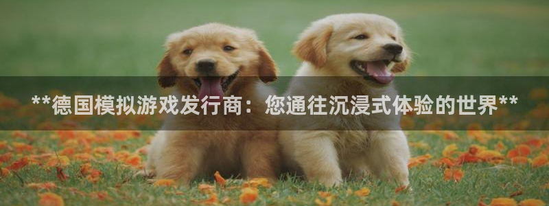 天辰平台房7O777：**德国模拟游戏发行商：您通往沉浸式体验的世界**