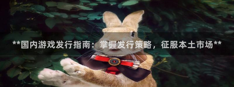 天辰平台像7O777：**国内游戏发行指南：掌握发行策略，征服本土市场**