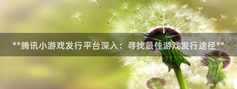 天辰平台城7O777：**腾讯小游戏发行平台深入：寻找最佳游戏发行途径**