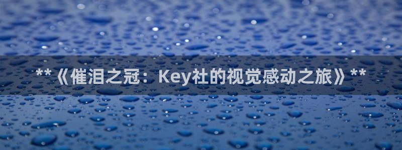 天辰平台会员有什么用处：**《催泪之冠：Key社的视觉感动之旅》**