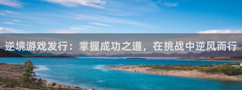 浙江天辰测控科技有限公司：逆境游戏发行：掌握成功之道，在挑战中逆风而行
