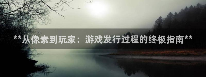 天辰平台怎么样退款申请：**从像素到玩家：游戏发行过程的终极指南**