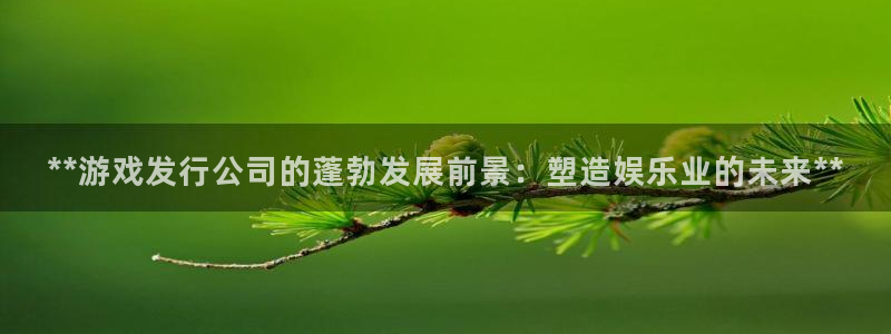 天辰注册会员要钱吗：**游戏发行公司的蓬勃发展前景：塑造娱乐业的未来**