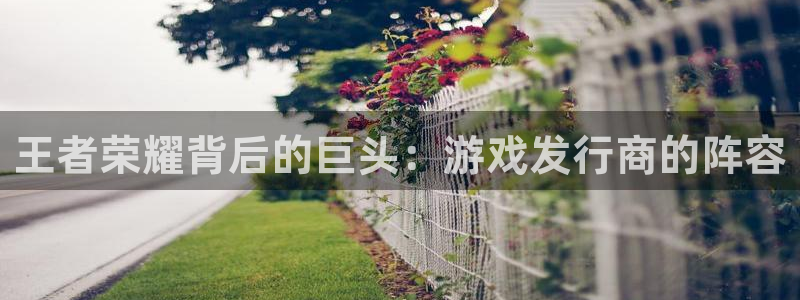 天辰平台入 585341 天辰：王者荣耀背后的巨头：游戏发行商的阵容
