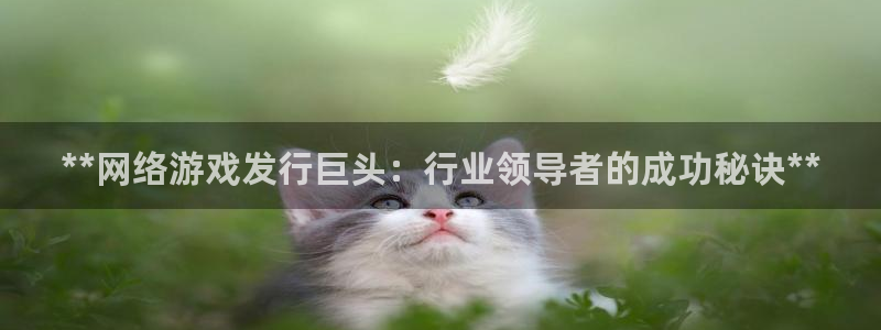 天辰平台陪 37oo735：**网络游戏发行巨头：行业领导者的成功秘诀**