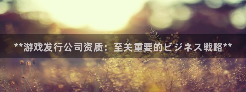 天辰登陆倮偻2o5026：**游戏发行公司资质：至关重要的ビジネス戦略**