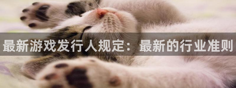天辰平台江7O777：最新游戏发行人规定：最新的行业准则