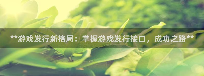 天辰娱乐都是干什么的公司：**游戏发行新格局：掌握游戏发行接口，成功之路**