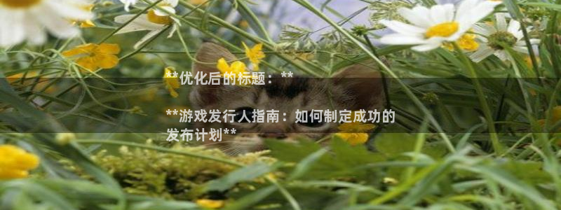 天晨测绘有限公司：**优化后的标题：**

**游戏发行人指南：如何制定成功的
发布计划**