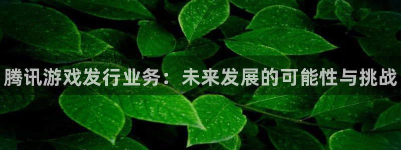 天辰平台注册登录地址怎么改不了：腾讯游戏发行业务：未来发展的可能性与挑战