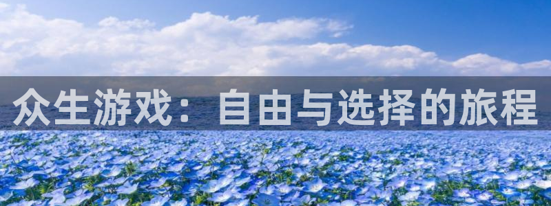 天辰平台胡 5O6917 天辰：众生游戏：自由与选择的旅程