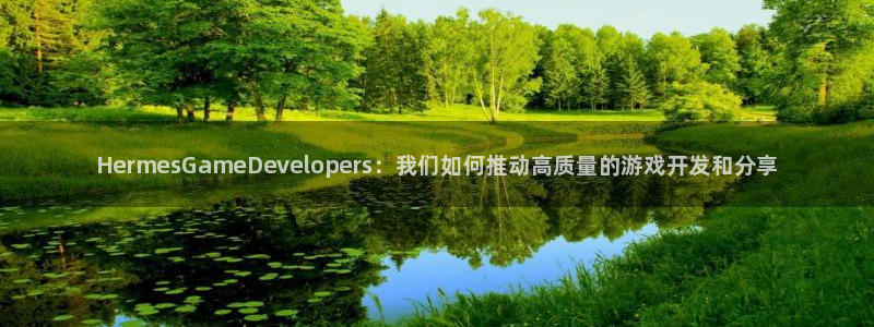 天辰娱乐平台用户评价与反馈：HermesGameDevelopers：我们如何推动高质量的游戏开发和分享