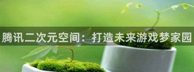 天辰平台测速登录不上：腾讯二次元空间：打造未来游戏梦家园