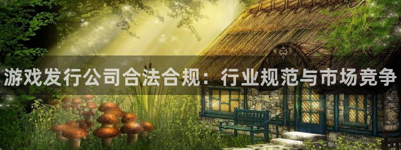 天辰建设网项目会员收费标准：游戏发行公司合法合规：行业规范与市场竞争